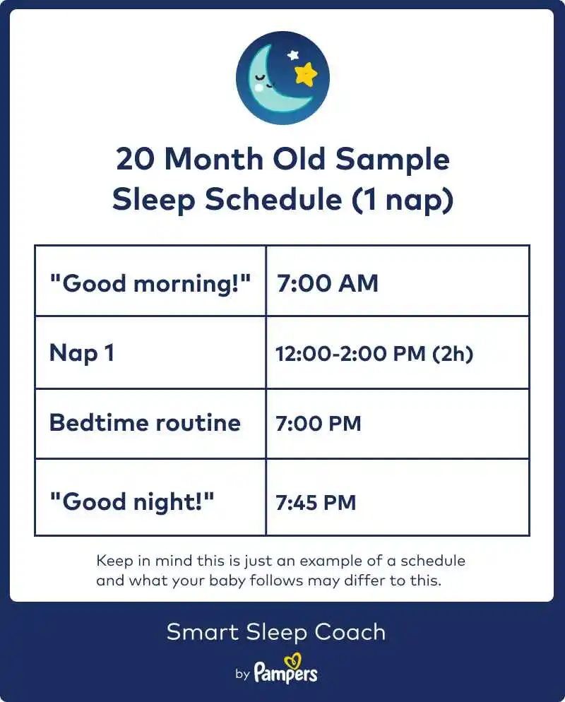 20-month-old-sleep-schedule-smart-sleep-coach-by-pampers